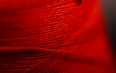 Wol die refereert naar de bloedsomloop en bloedvaten